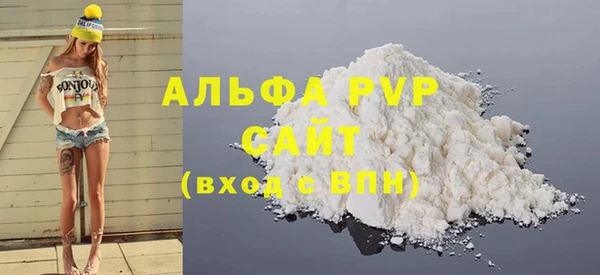 индика Гусиноозёрск