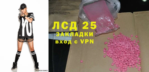 индика Гусиноозёрск