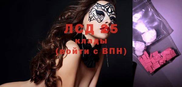 индика Гусиноозёрск