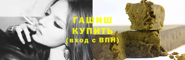 индика Гусиноозёрск