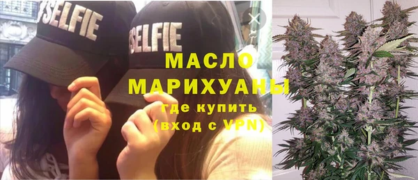 индика Гусиноозёрск