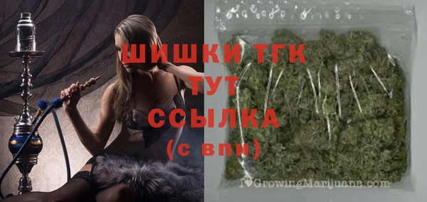 дживик Дмитров