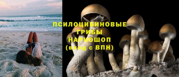 MESCALINE Гусев