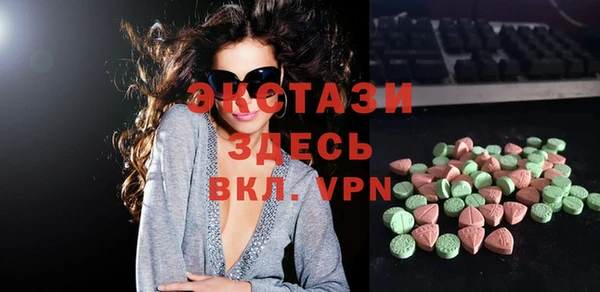 индика Гусиноозёрск