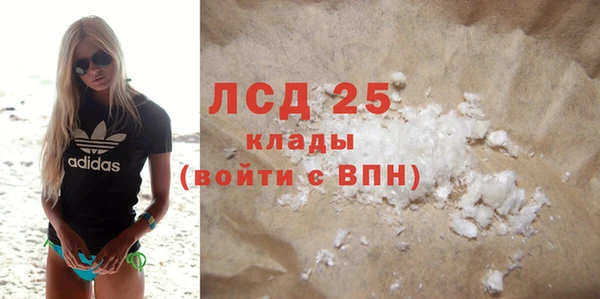 индика Гусиноозёрск