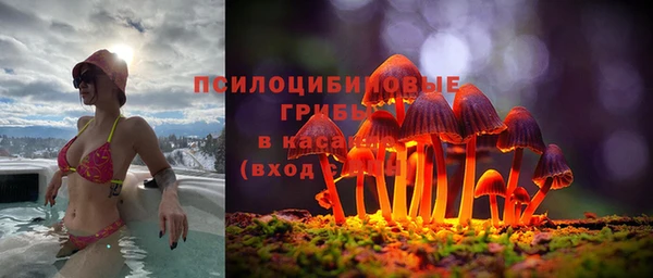 MESCALINE Гусев